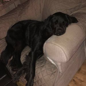 Meet your Posher, Delilah